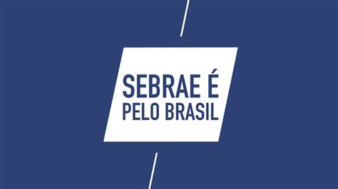 Curso Online Do Sebrae Conhe A E Veja Como Funcionam Senhor Gato