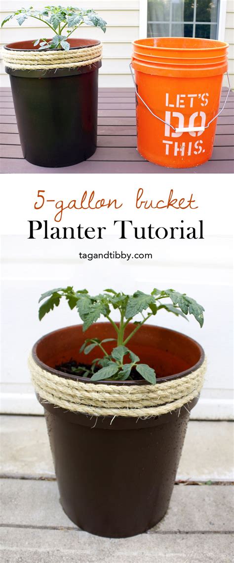 How To Make A Planter From A 5 Gallon Bucket Bloggers Best DIY Ideas