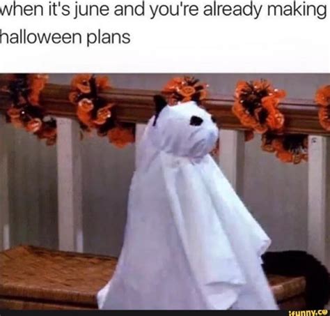 35 Funny Halloween Memes That Are Wicked Hilarious Artofit