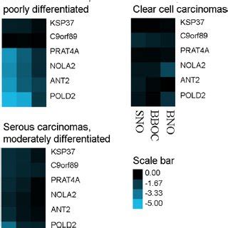 Differential Expression Levels Of Six Selected MRNAs Vertical In 31