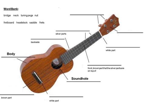 Ukulele Diagram | Quizlet