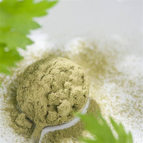 how to make celery powder at home