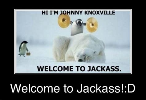 Hi I M Johnny Knoxville Welcome To Jackass Welcome To Jackass D Welcome To Jackass D