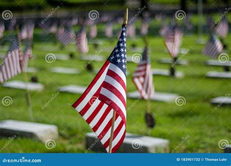 American Flags Fly Over The Graves Of Veterans On Memorial Day Stock