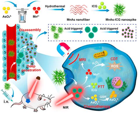 Theranostic Nano Platform For MRI Guided Synergistic Therapy Against