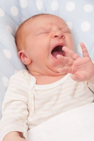 Baby Mouth Open Stock Photos Royalty Free Baby Mouth Open Images