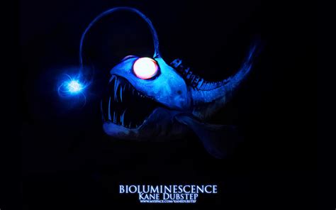 Bioluminescent Fishes