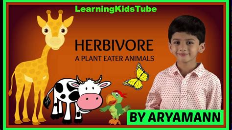 Herbivore Plant Eater Animals By Aryamann Science Lesson Youtube