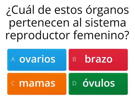 Cuestionario De Sistema Reproductor Femenino Quiz