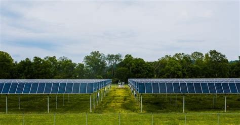 Amazonas Ganha Usina Solar Fotovoltaica Pain Is Solenerg