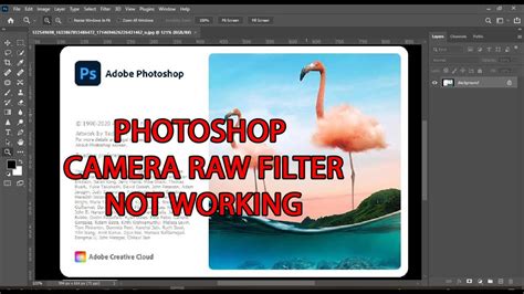 Photoshop Camera Raw Filter Not Working Solved Youtube