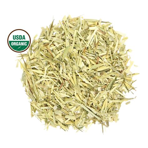 Oat Straw Organic Bulk 1lb Oatstraw Avena Sativa L Dry Herb