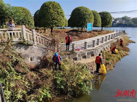 浏阳市枨冲镇：开展“河小青”志愿行动 绘就水清岸绿风景线 民生 新湖南