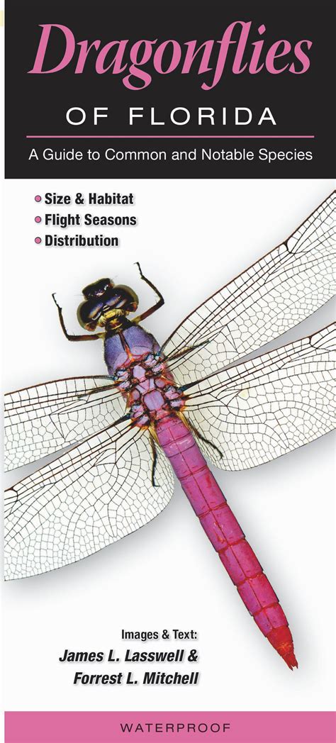 Dragonflies of Florida – Quick Reference Publishing Retail