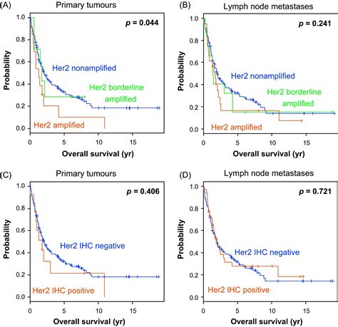 Her2 Amplification Is Significantly More Frequent In Lymph Node