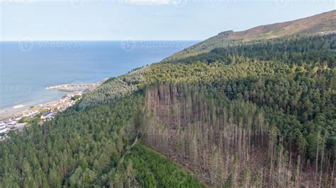 Aerial view on houses on coast of see in Newcastle, Northern Ireland