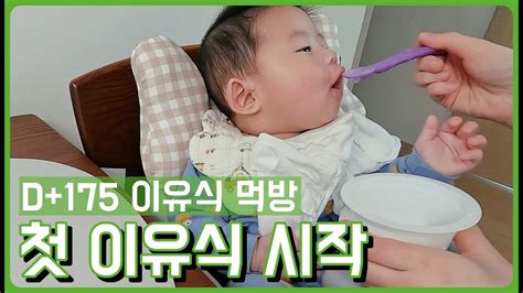 육아 브이로그 생후 6개월 초기이유식 시작하다 베베쿡 시판이유식 먹방꿈나무 Youtube