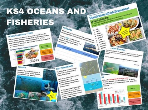Igcse Environmental Management Oceans Whole Unit Teaching Resources