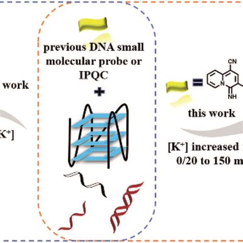 The Binding Selectivity Of Previous Dna Probe Left In Specific Download Scientific Diagram