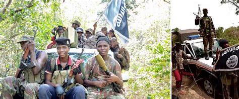 Ataques Em Cabo Delgado Insurgentes Continuam A Semear Terror