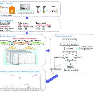 The Workflow Of Analytical Strategy For Metabolite Identification