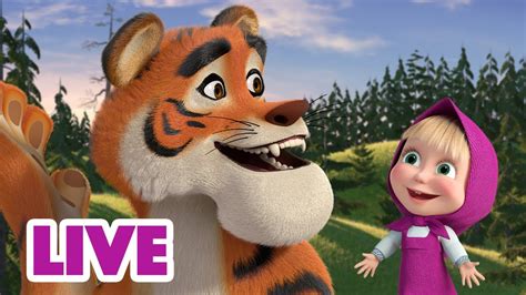 🔴 Live 👧🐻 Masha E O Urso 😻🦊 Simpatia Instantânea 🐯🐻 Masha And The Bear