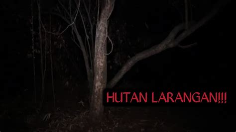 Live Misteri Hutan Larangan Youtube