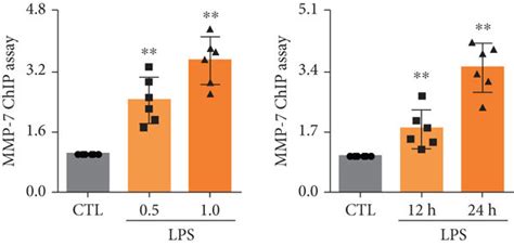 The dissociation of VE cadherin β catenin complex and the activation of