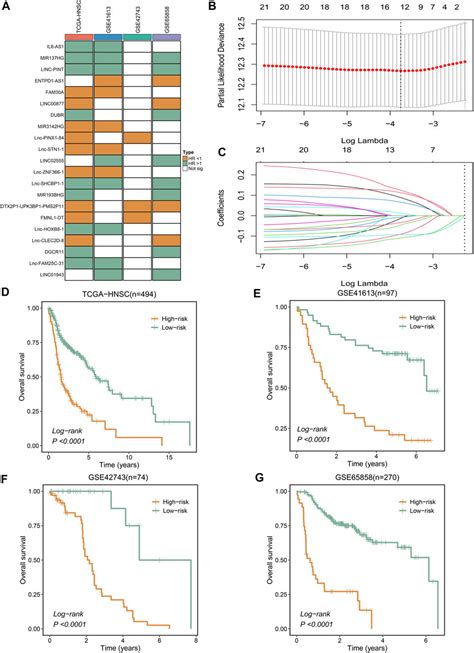 Frontiers A Novel Necroptosis Related Lncrna Signature For Prediction