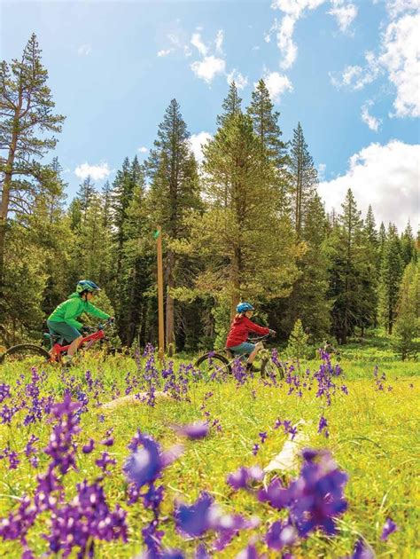 Tahoe Donner News June 2023 By Tahoe Donner Association Issuu