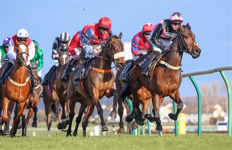 2024 Fixture List Ayr Racecourse Scotlands Premier Racecourse