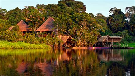 lamazonie equatorienne voyage sejours au coeur de lequateur
