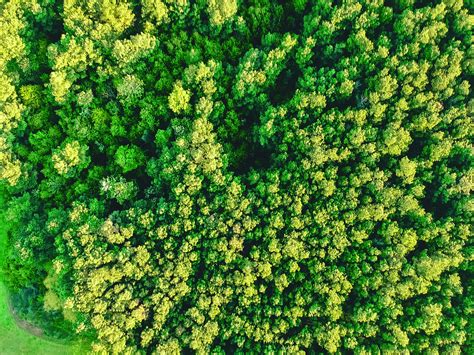 Gregg Museum of Art & Design at NC State - Long’s colleague Mark Sloan