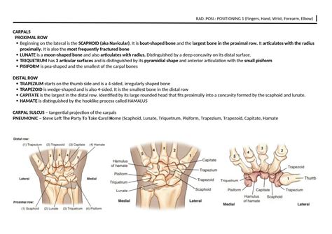 Solution Radiographic Positioning Fingers Hand Wrist Forearm Elbow