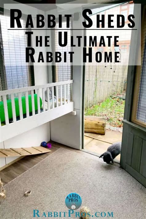 Rabbit Sheds The Ultimate Outdoor Bunny Hutch With Pictures