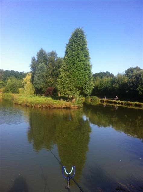 UK fishing venues: Pool Bridge Farm (Horseshoe Lake) - Venue Review