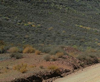 Southern African Adventure Motorcycling Routes Clanwilliam Cederberg