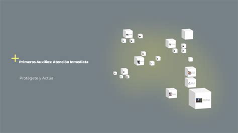 Primeros Auxilios Atenci N Inmediata By Armando Berrones On Prezi