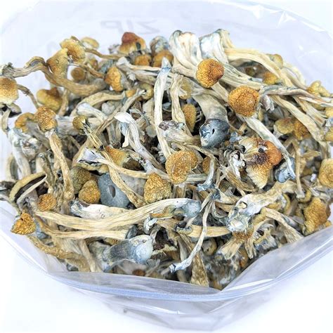 Blue Meanies Magic Mushrooms Buy Weed Online