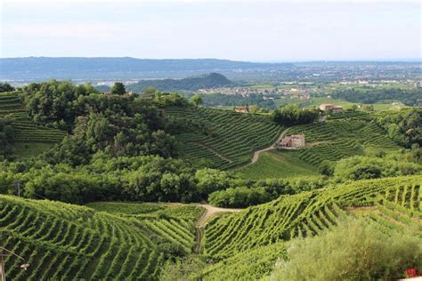 Le Colline Venete Del Prosecco Verso Patrimonio Unesco Zaia Grande