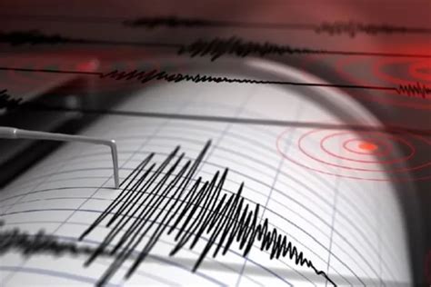 Keerom Papua Berturut Turut Diguncang Gempa Dengan Magnitudo Terbesar