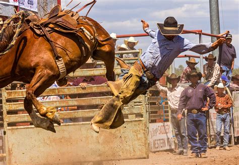 Rodeo! | Westwater Arts