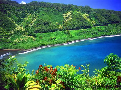 Exploring Hana Highway In Maui Maui Wedding And Travels To Maui