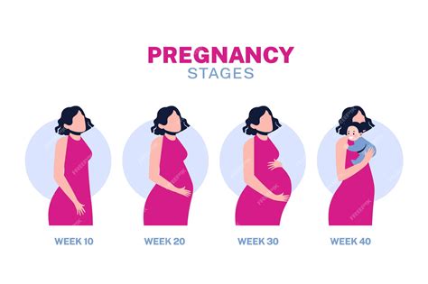 Pregnant Belly Stages By Week