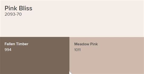 Benjamin Moore Pink Bliss Paint Color Schemes Interiors By Color