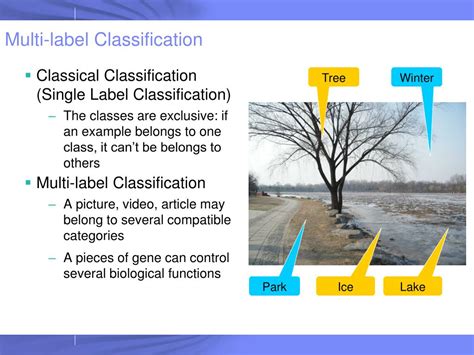 32 Multi Label Image Classification Labels Design Ideas 2020