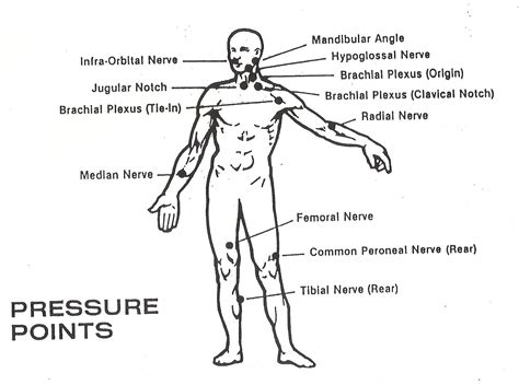 Ppct Nerve Pressure Points And Nerve Motor Points Diagram El