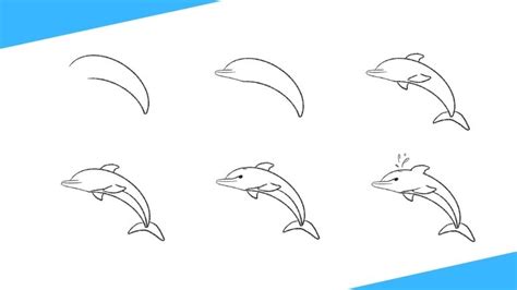 How To Draw A Dolphin Easy Step By Step For Beginners Drawing Ideas