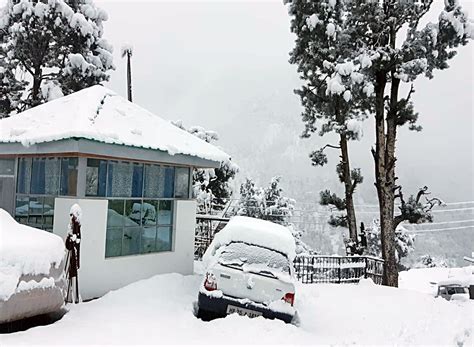 Himachal Pradesh Photos Fresh Snowfall In Shimla Kullu And Rohtang