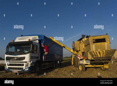 Grain Pluie Hi Res Stock Photography And Images Alamy